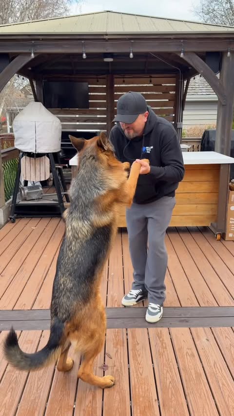 Instagram post by @grillin_with_dad for The Farmer's Dog. Caption reads: [...] been waiting for.
 
We’ve been using....