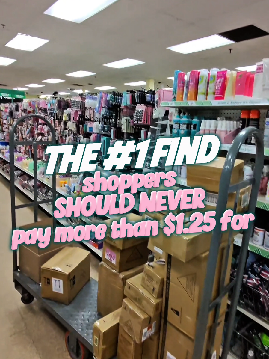 TikTok post by @yourtiktocksister for Dollar Tree. Caption reads: [...] Shopper’s # 1 Rule: Only Buy THIS at Dollar....