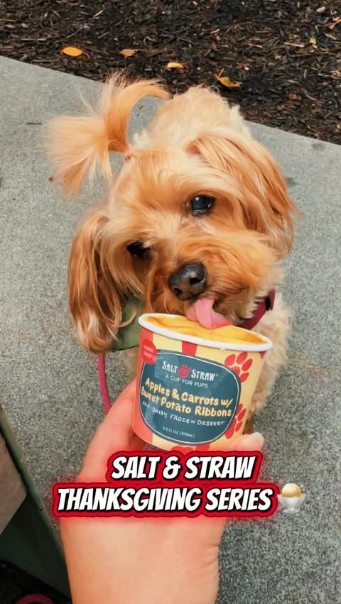 Instagram post by @_heidigreens for Salt & Straw. Caption reads: Thanksgiving… but make it ice cream....