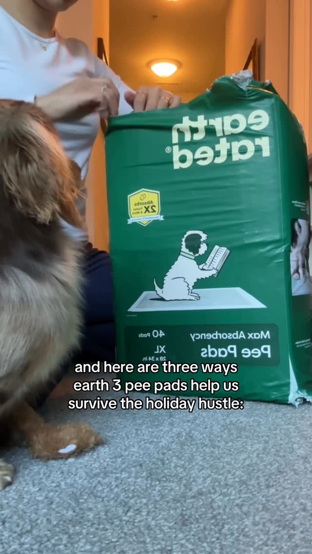 Instagram post by @thedachshunds.fam for Earth Rated. Caption reads: The holidays can be stressful, but they don’t need....