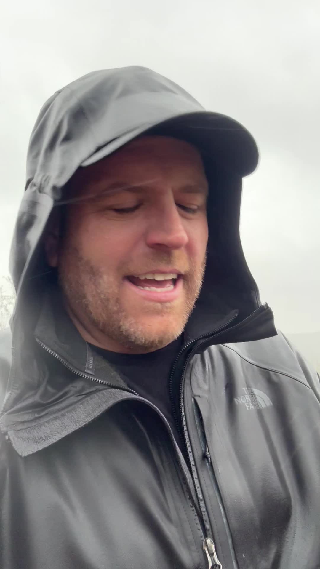 TikTok post by @gatesytok for Discovery. Caption reads: [...] he enjoyed it, too. Maybe.....