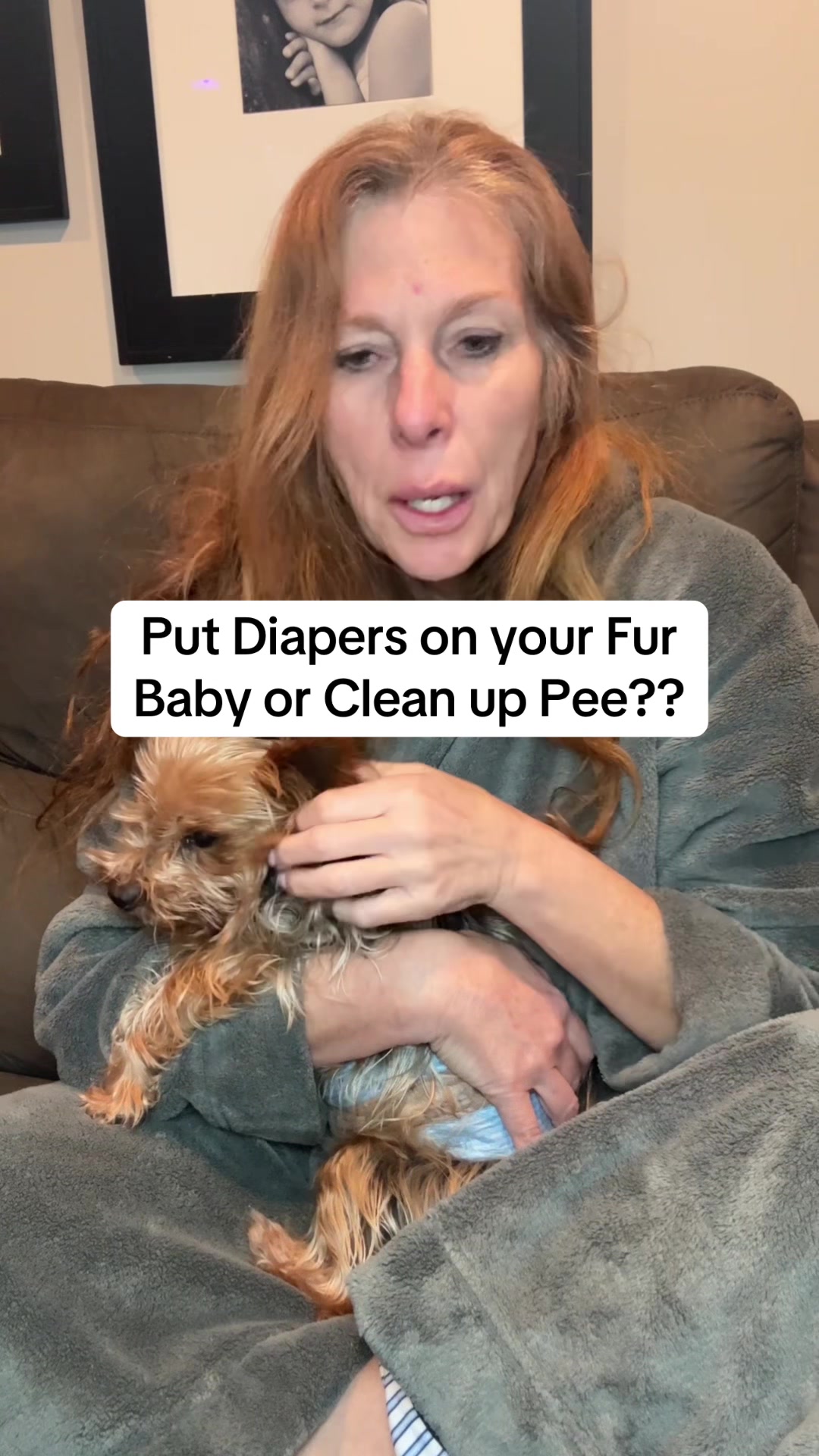 TikTok post by @kristas.kreations for HoneyCarePet. Caption reads: Would you rather put diapers on your dog or....