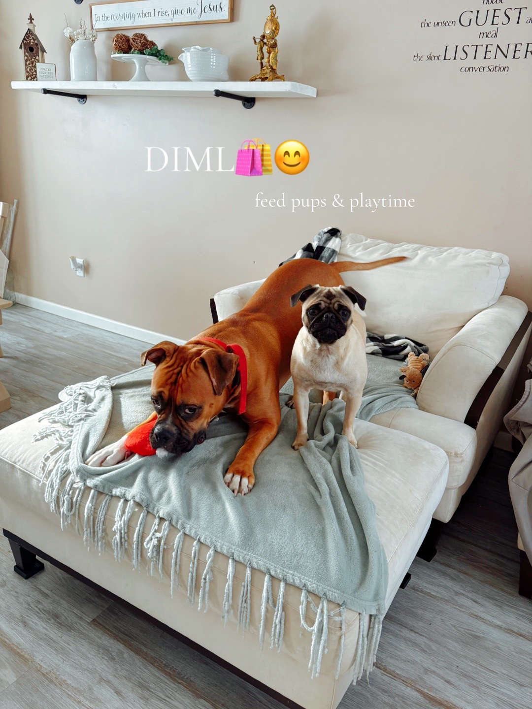 TikTok post by @briee.houghh for Tazo. Caption reads: #fypage #✝️ #fyp #trending @hellotazotea....