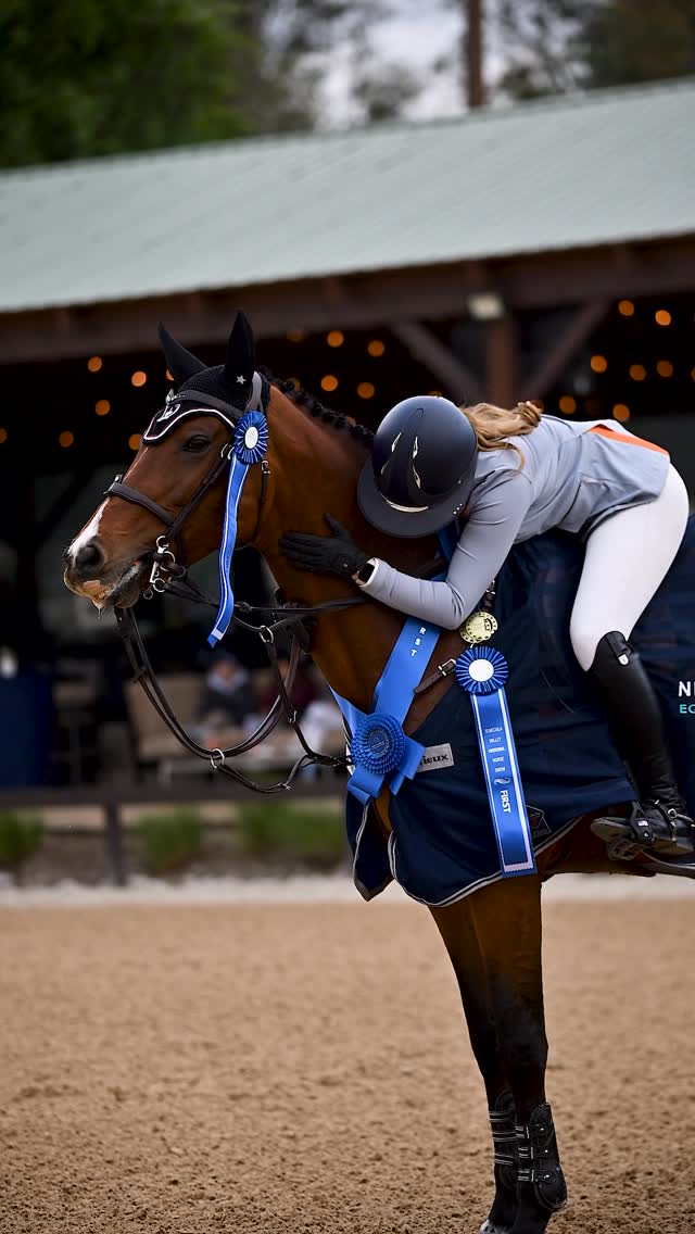 Instagram post by @natalie_banis for Majyk Equipe. Caption reads: [...] @maneevent.mn @eqgraze @kandlhorses....