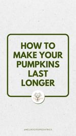 Instagram post by @my.wellrooted for Force of Nature Clean. Caption reads: 🎃🌿 Carving pumpkins is a cherished autumn....