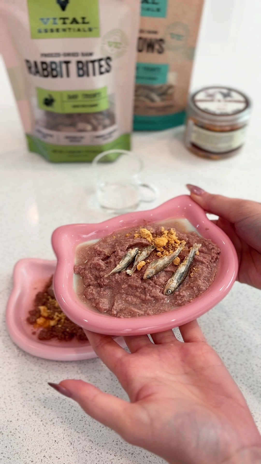 TikTok post by @haveanicemiu for Vital Essentials. Caption reads: [...] @Fancy Feast @PURINA • toppers: @Vital....