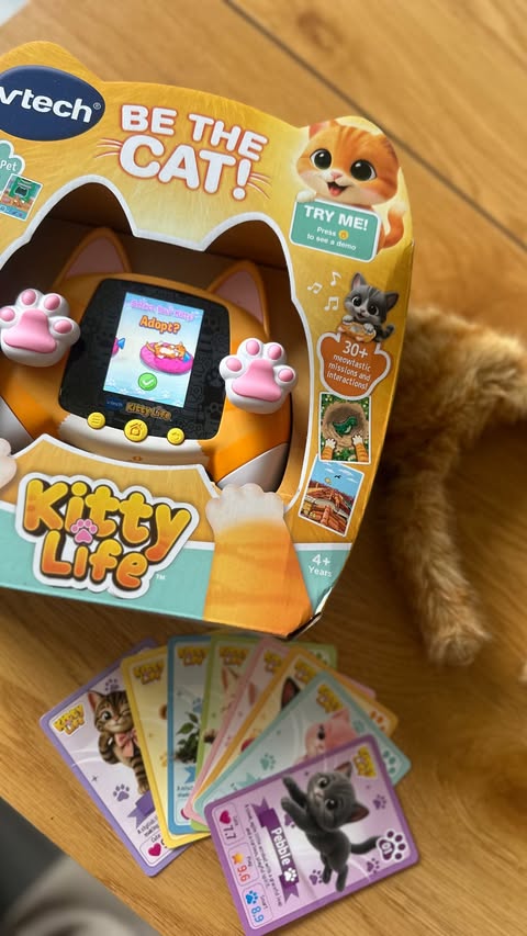Instagram post by @ourlife.asfourx for Come Round. Caption reads: [...] little cat lovers! 🐱🐾 @vtechtoysuk....
