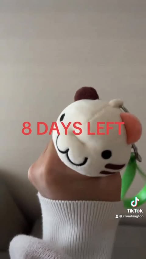 Instagram post by @crumbington for Makeship. Caption reads: 8 more days to get a crumb keychain and pins! link....