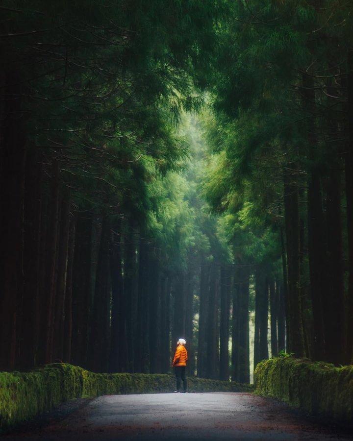 Instagram post by @jamesrelfdyer for Discover Earth. Caption reads: Wild wanderings…🍃 this series is from my time in....