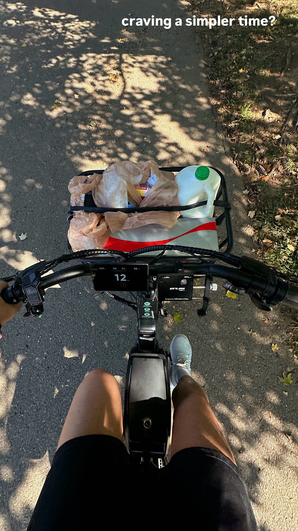 Instagram post by @skhammer for Rad Power Bikes. Caption reads: craving a simpler time? get a bike. it’s healed....