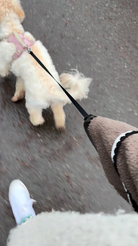 Instagram post by @kiri.siobaun for BOL Foods. Caption reads: Fueling the rush with @bolfoods ⚡️ 

AD| If you’re....