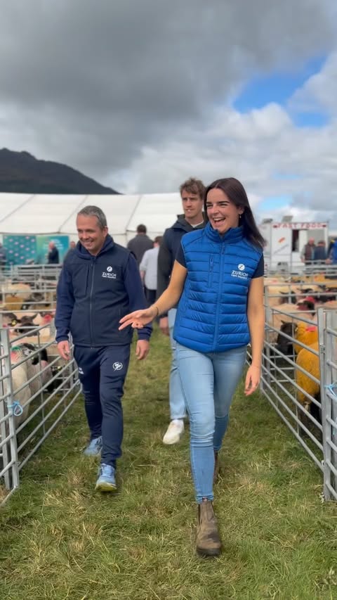 Instagram post by @anniemcguinness for Zurich Insurance. Caption reads: That’s it lads, I have 10 texel crossbred ewe....