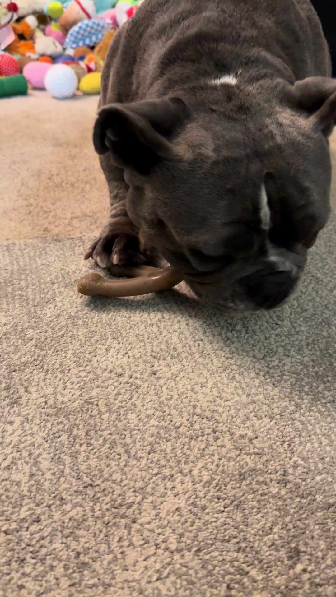 TikTok post by @brittany_rescues for Benebone. Caption reads: just two girls who love their @Benebone 🖤 #fyp....