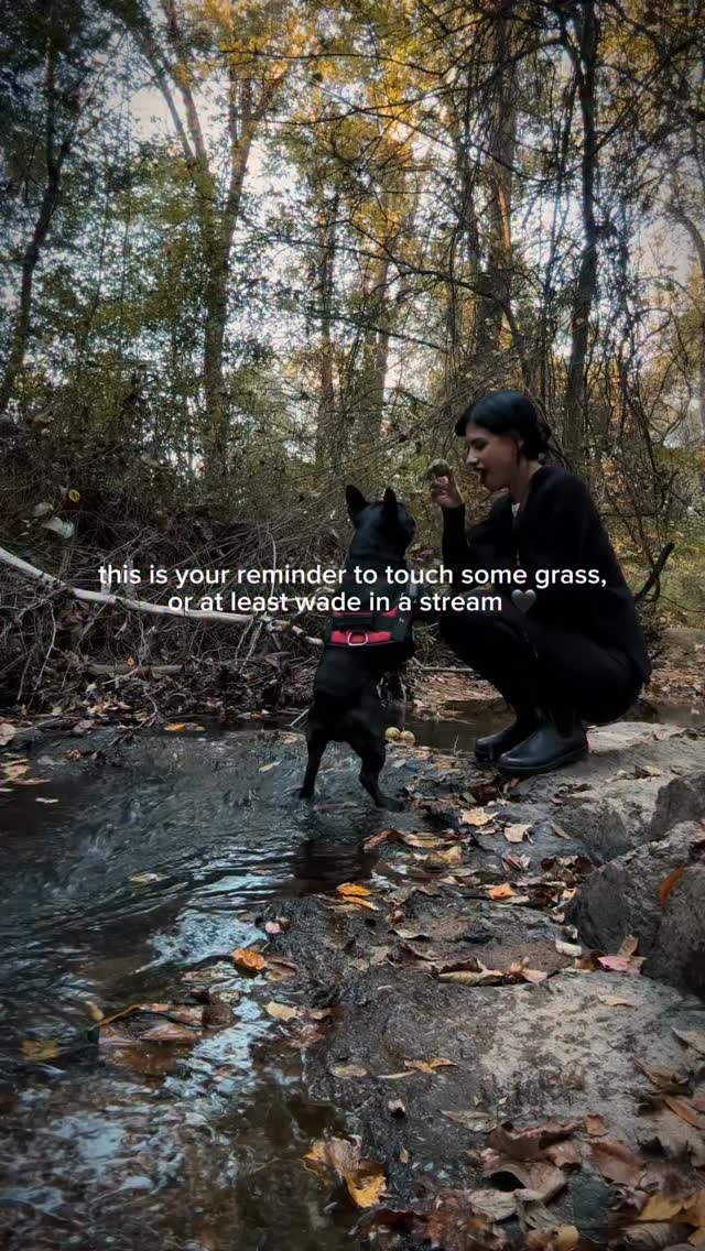 Instagram post by @chelseyceja for Blundstone. Caption reads: My favorite kind of afternoon....