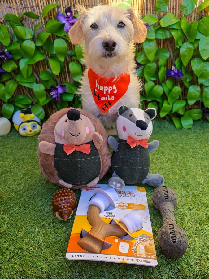 Instagram post by @bea_russell2021 for Happy Tails Hampers. Caption reads: [...] this months subscription box from....