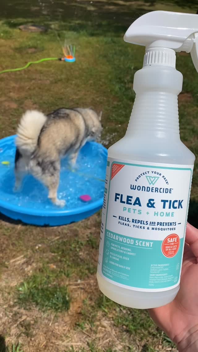 Instagram post by @naturalstatehuskies for Wondercide. Caption reads: [...] in his kiddie pool! 💦🐾 Shoutout to....