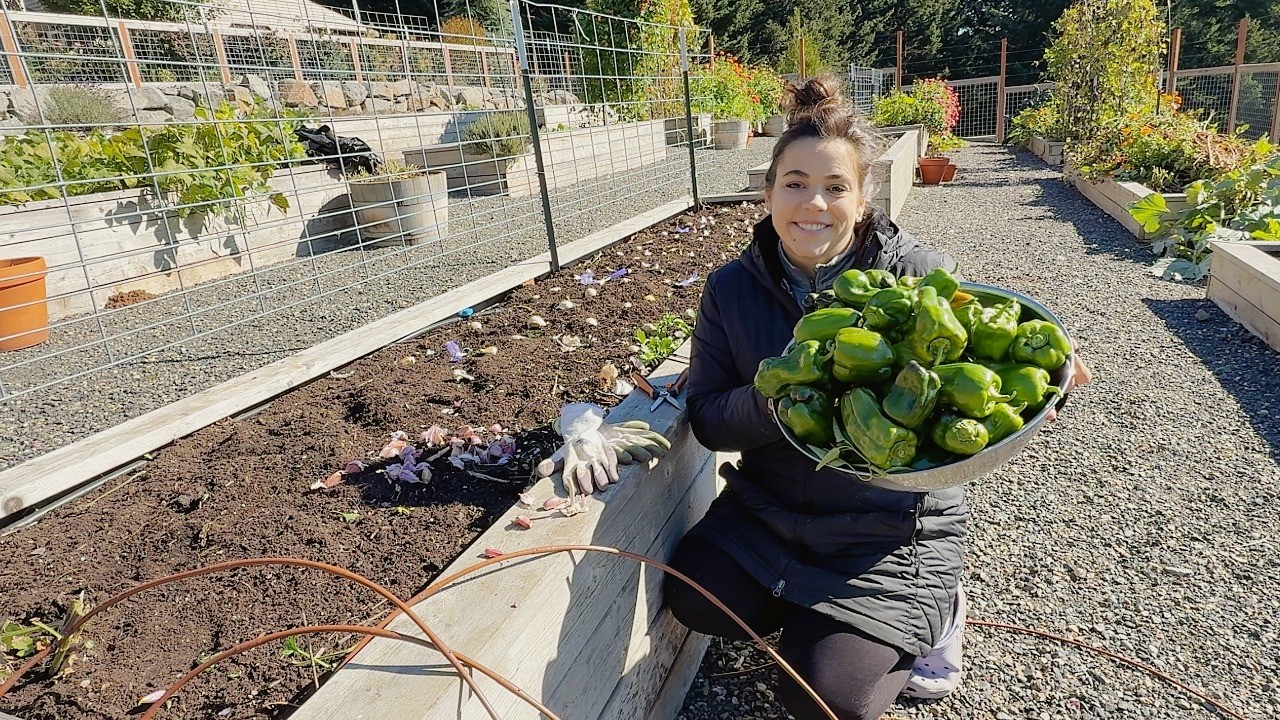 YouTube post by @AcreHomestead for Azure Standard. Caption reads: Just when you think it's over... we start again!!....