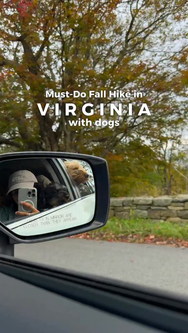 Instagram post by @withsunshinesol for ORIJEN Petfoods. Caption reads: Fall hikes hit a little different this year 🍂....