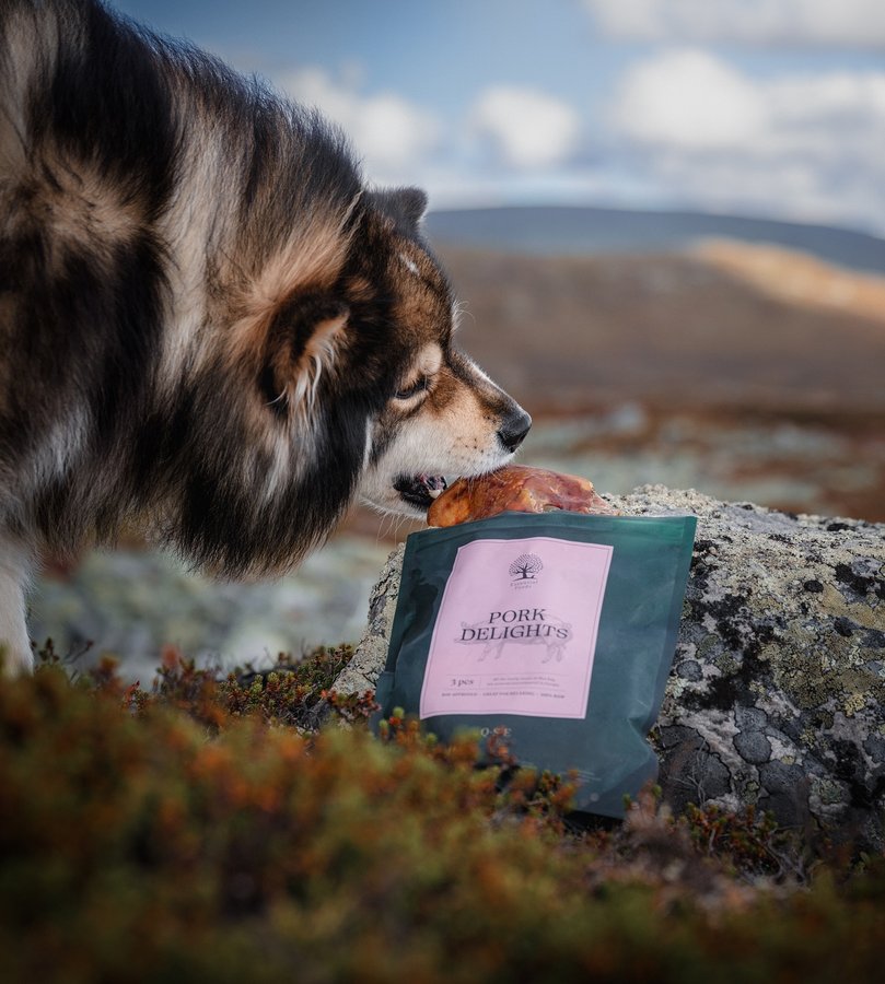 Instagram post by @aikothelappie for ESSENTIAL FOODS. Caption reads: [In collaboration with @essentialfoodsofficial]....