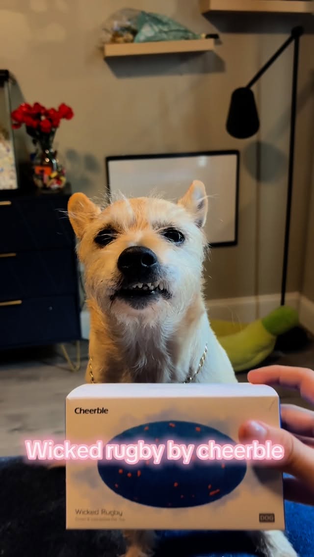 Instagram post by @realityyrat for Cheerble. Caption reads: With an extra 5% off discount code
05REALITYS ....