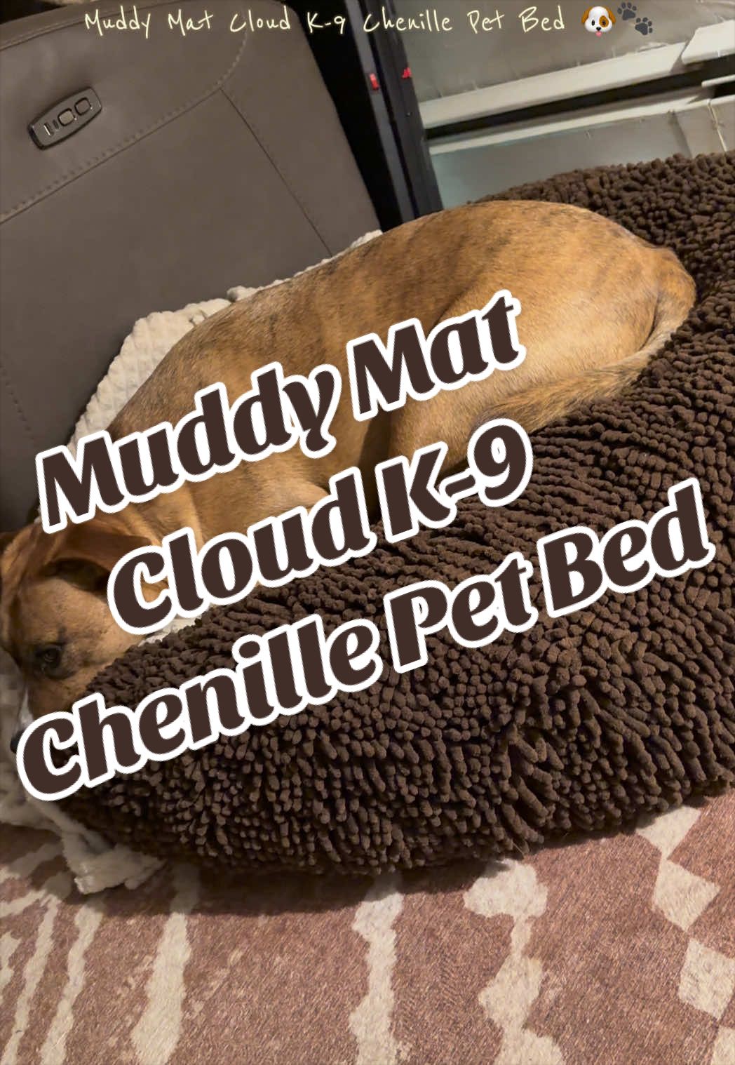 TikTok post by @lelz1993 for Muddy Mat. Caption reads: [...] it picks up & it’s super easy to wash!....