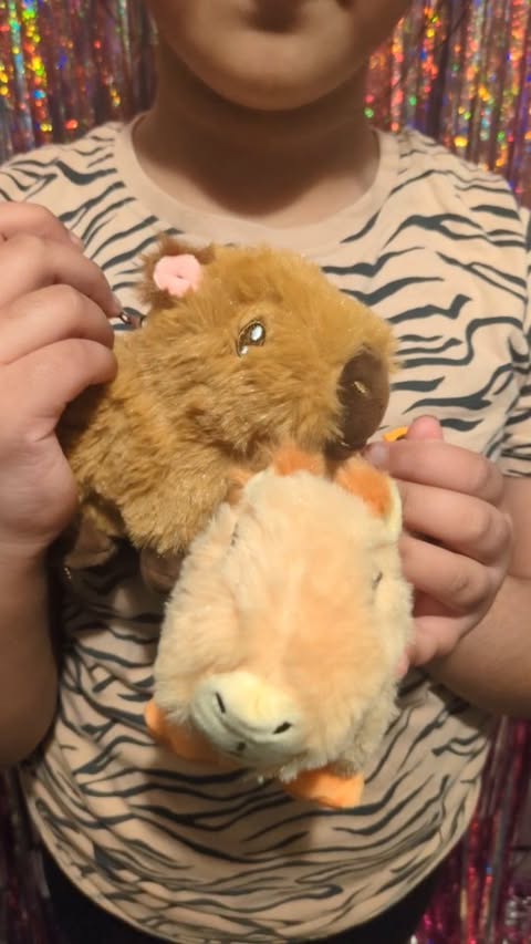 Instagram post by @laila_and_aliza_show for Capy Era. Caption reads: Capybara lovers, this one’s for you! 

These....