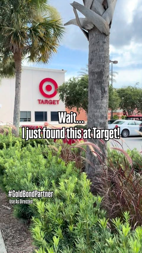Instagram post by @target_bargains for GOLD BOND. Caption reads: [...] this at Target and had to share 🤍....
