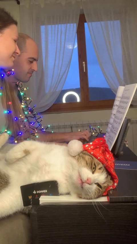 Instagram post by @pianists_mariana.dimcho for DonnerMusic. Caption reads: [...] Fairy (from the Nutcracker Suite) on....