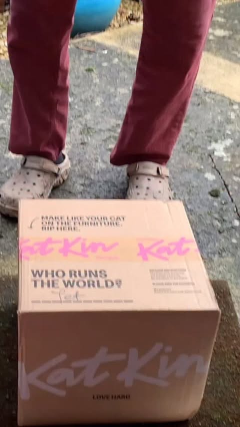 Instagram post by @stratfordgerald for KatKin. Caption reads: [...] day and Jet gets so excited every time....