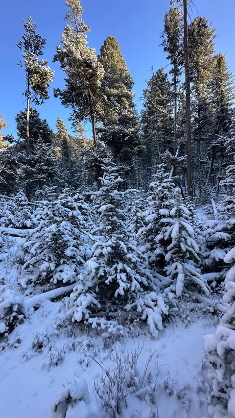 Instagram post by @claudiaschmidt11 for Field & Stream. Caption reads: It’s important to be prepared while in the....