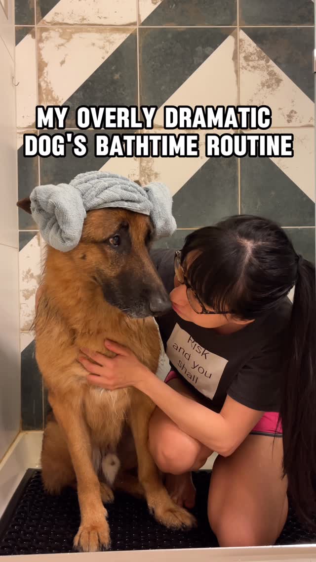 Instagram post by @meetthechows for Earth Rated. Caption reads: Rambo’s overly dramatic bath routine, featuring....