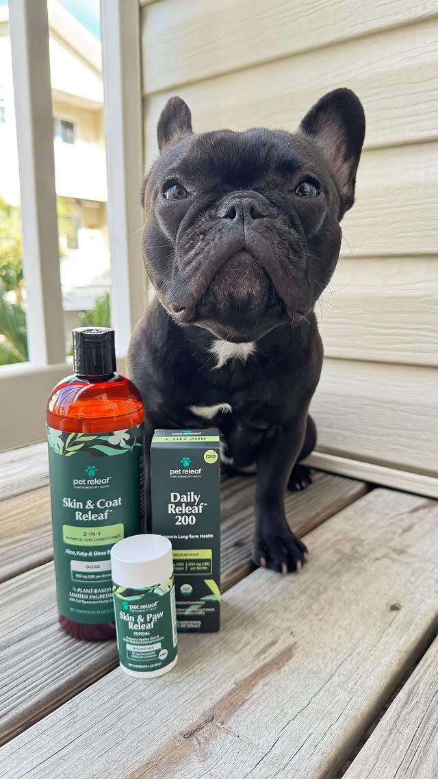 Instagram post by @perfectpennybulldog for Pet Releaf. Caption reads: We love us some @petreleaf 💚 Their....