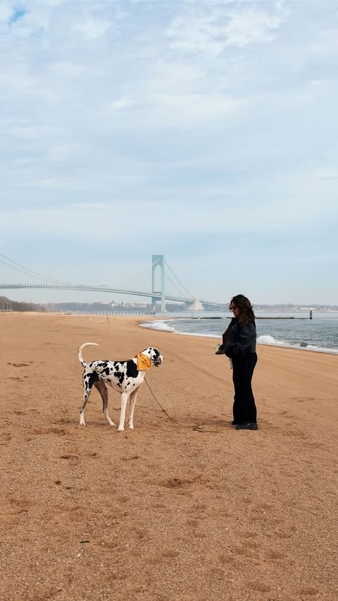 Instagram post by @themeldemi for Sundays for Dogs. Caption reads: [...] pups >>> Cowboy loves his @sundaysfordogs....