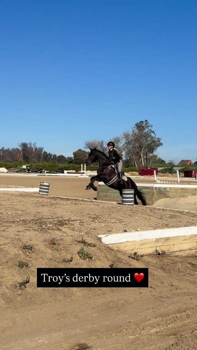 Instagram post by @zlequestrian for Majyk Equipe. Caption reads: Troy 🚀 what a fantastic turnout at El Sueño this....