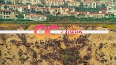 Instagram post by @rachelbilson for 21Seeds Infused Tequila. Caption reads: #ad Serving Summer @21seeds style ... I guess some....