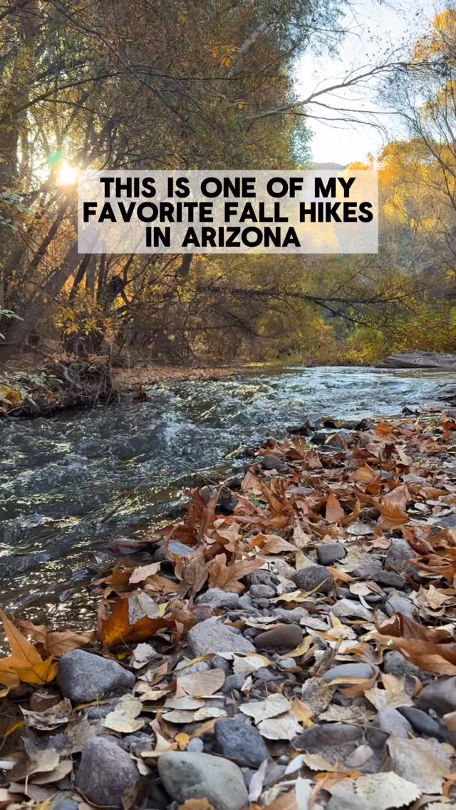 Instagram post by @hikersledge for Ford Bronco. Caption reads: Have you ever heard of Aravaipa Canyon, located in....