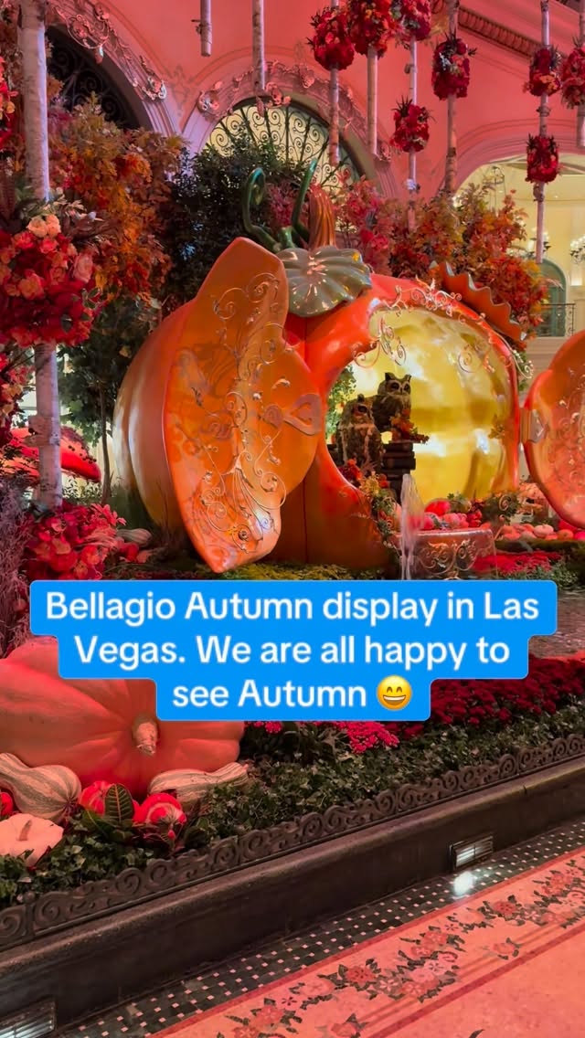 Instagram post by @casinocompwallet for MGM Resorts. Caption reads: This is the @bellagio We all enjoy Autumn 😄.