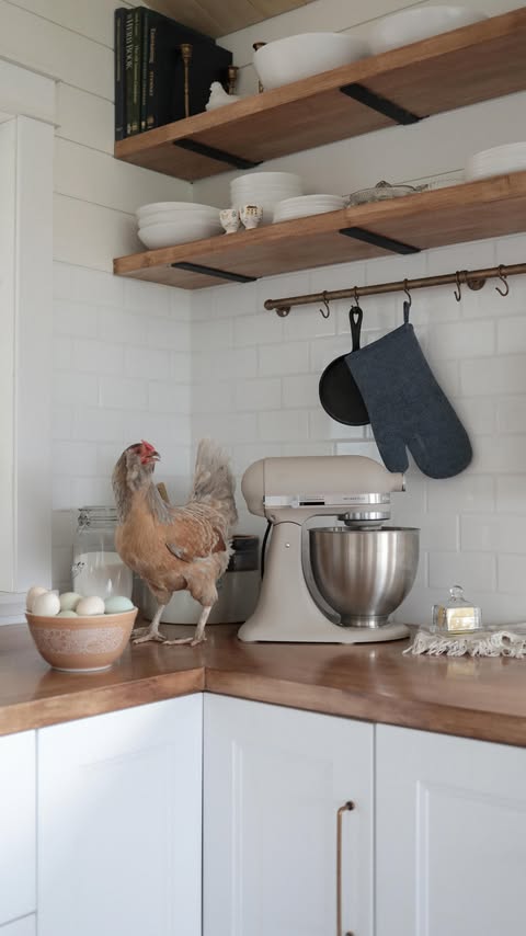 Instagram post by @laurelysebaert for KitchenAid. Caption reads: [...] new Artisan® Plus Stand Mixer from....