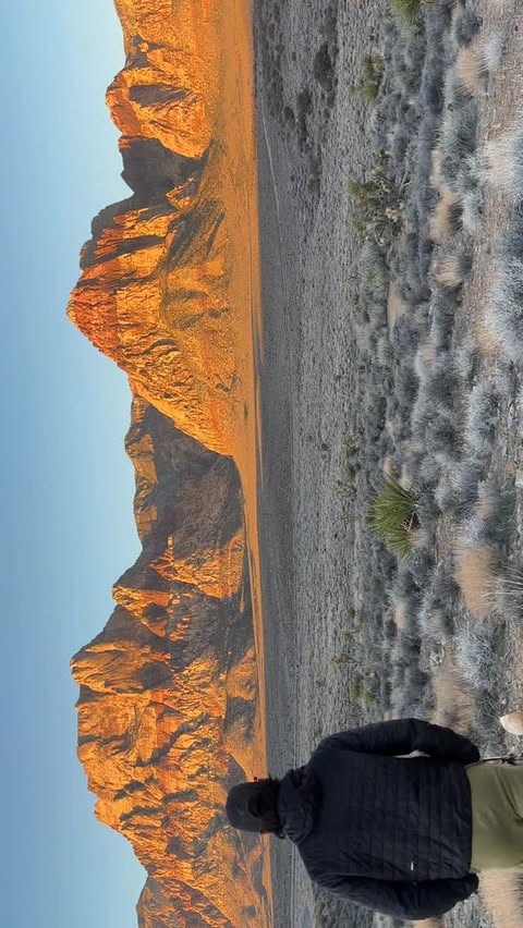 Instagram post by @elicatanz for PANGAIA. Caption reads: In partnership with nature @pangaia.