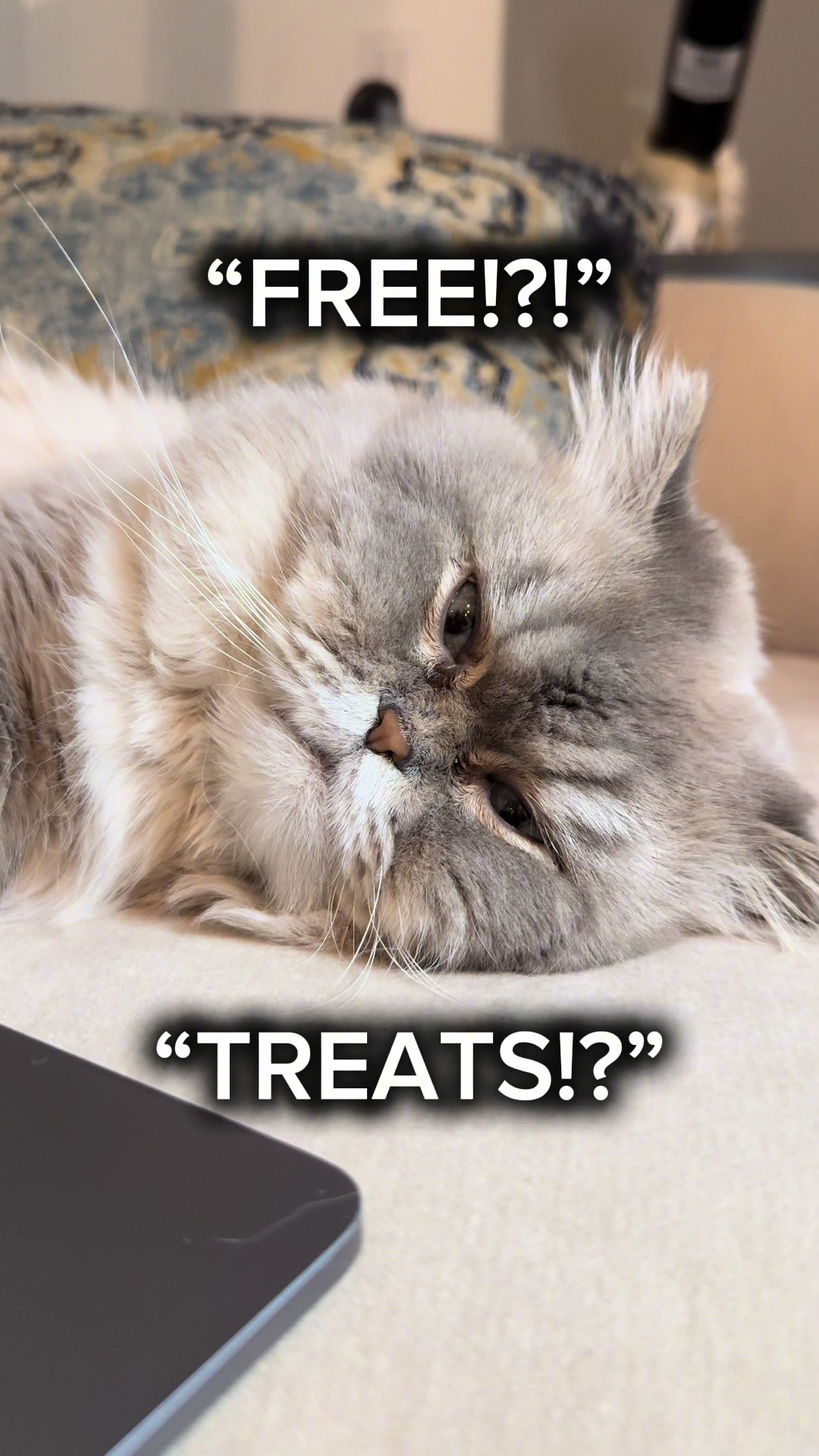 TikTok post by @gasperandgus for Purina. Caption reads: Free treats for a year? Say less. Download the....