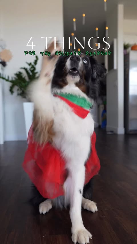 Instagram post by @embracingecho for Oneisall. Caption reads: [...] home alone? ❄️ Very thankful for our....