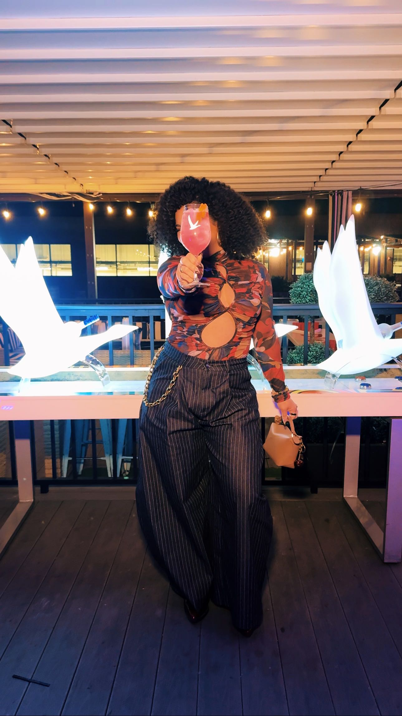 Instagram post by @erinalicegarnes for Grey Goose. Caption reads: HU Homecoming weekend with @greygoose was....