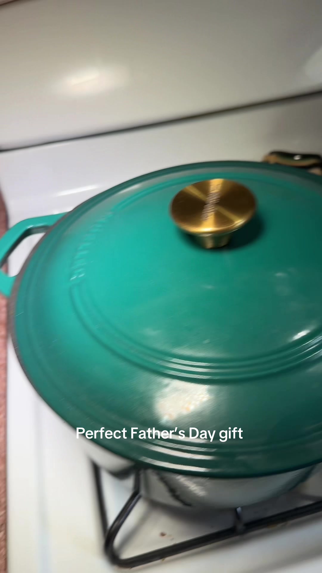 TikTok post by @panda_42586 for Mueller Home. Caption reads: Great Father’s Day gift! @MÜELLERHOME....