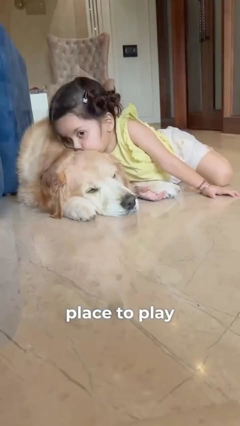 Instagram post by @alex_thegoldendog for Nimyle. Caption reads: [...] jagah—our floor! 🏡 That’s why we trust....