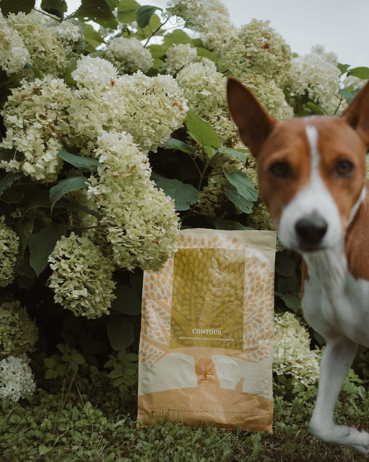 Instagram post by @yagohmeetstheworld for ESSENTIAL FOODS. Caption reads: [...] | ambassador
In collaboration with ESSENTIAL....