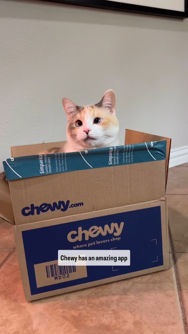 Instagram post by @fatfatpankocat for Chewy. Caption reads: Some of you will remember that even a few years....