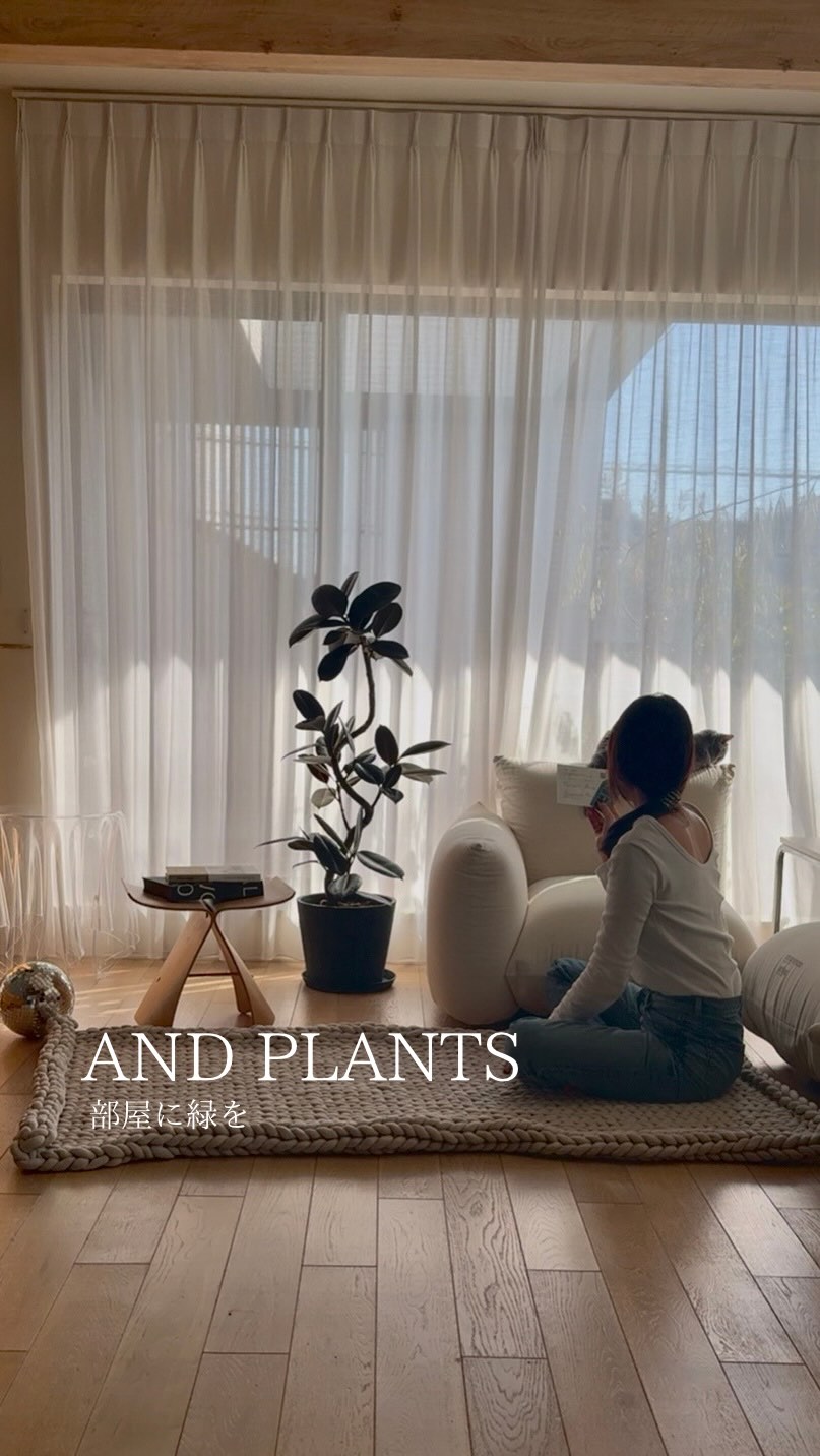 Instagram post by @mito___kt for AND PLANTS. Caption reads: サイズの大きい植物
部屋に一つは欲しいですよね！
⁡
ただ自分で買いに行くとかなりの重労働…
⁡
@....