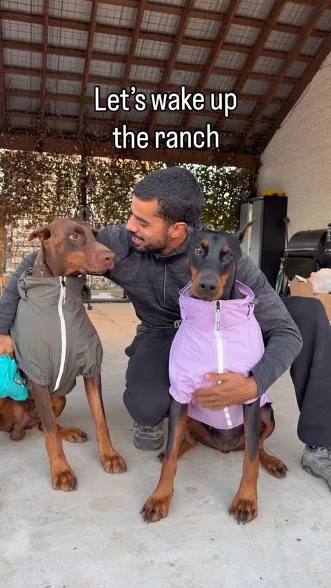 Instagram post by @jalen_noble for PetSmart. Caption reads: [...] thanks to Arcadia Trail exclusively at....