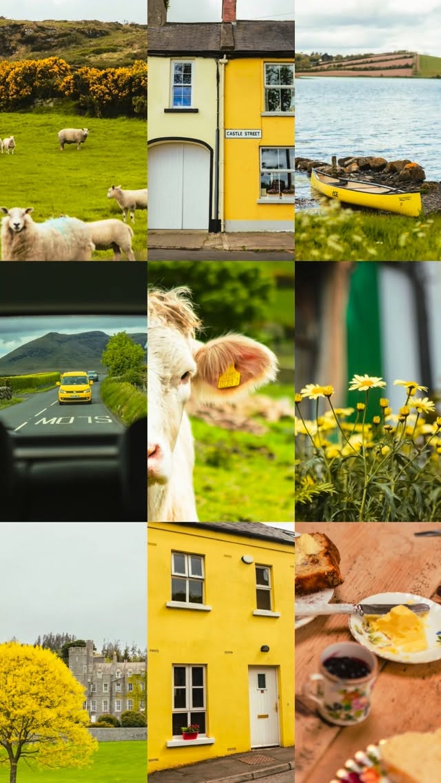 Instagram post by @rambosphotos for Tourism Ireland. Caption reads: [...] by so much colour! #IrelandUnrushed....