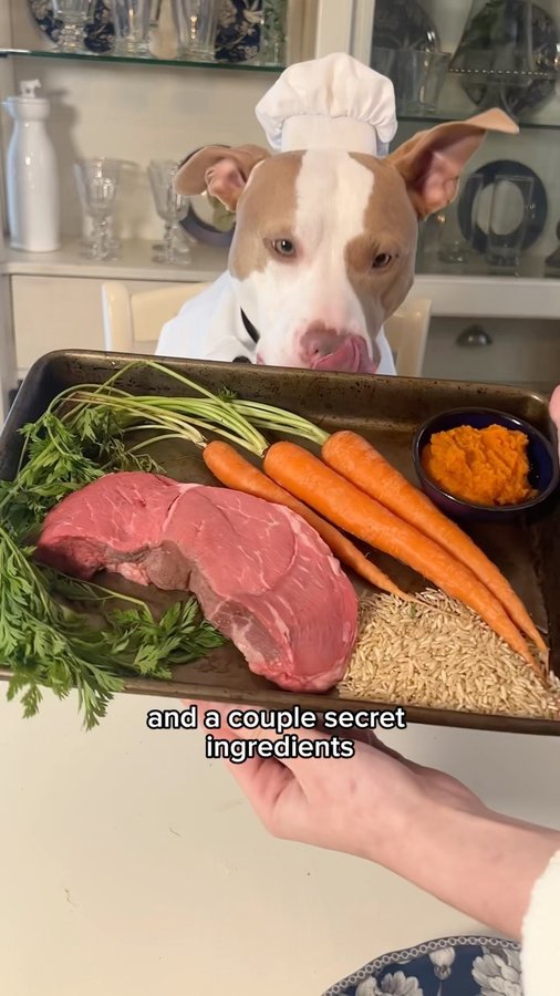 Instagram post by an influencer for Open Farm Pet. Caption reads: [...] Helping my good friends @openfarmpet whip up....